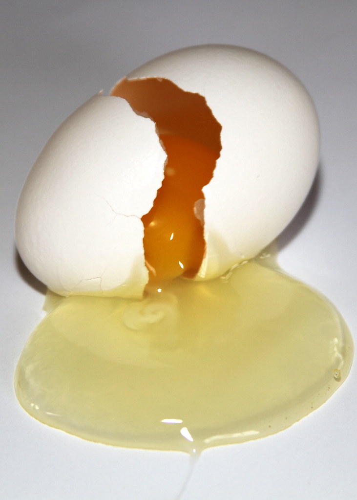altoqi lumine v4 cracked egg